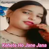 About Kehete Ho Jana Jana Song